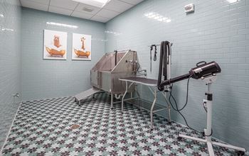 A bathroom with a sink and a toilet.